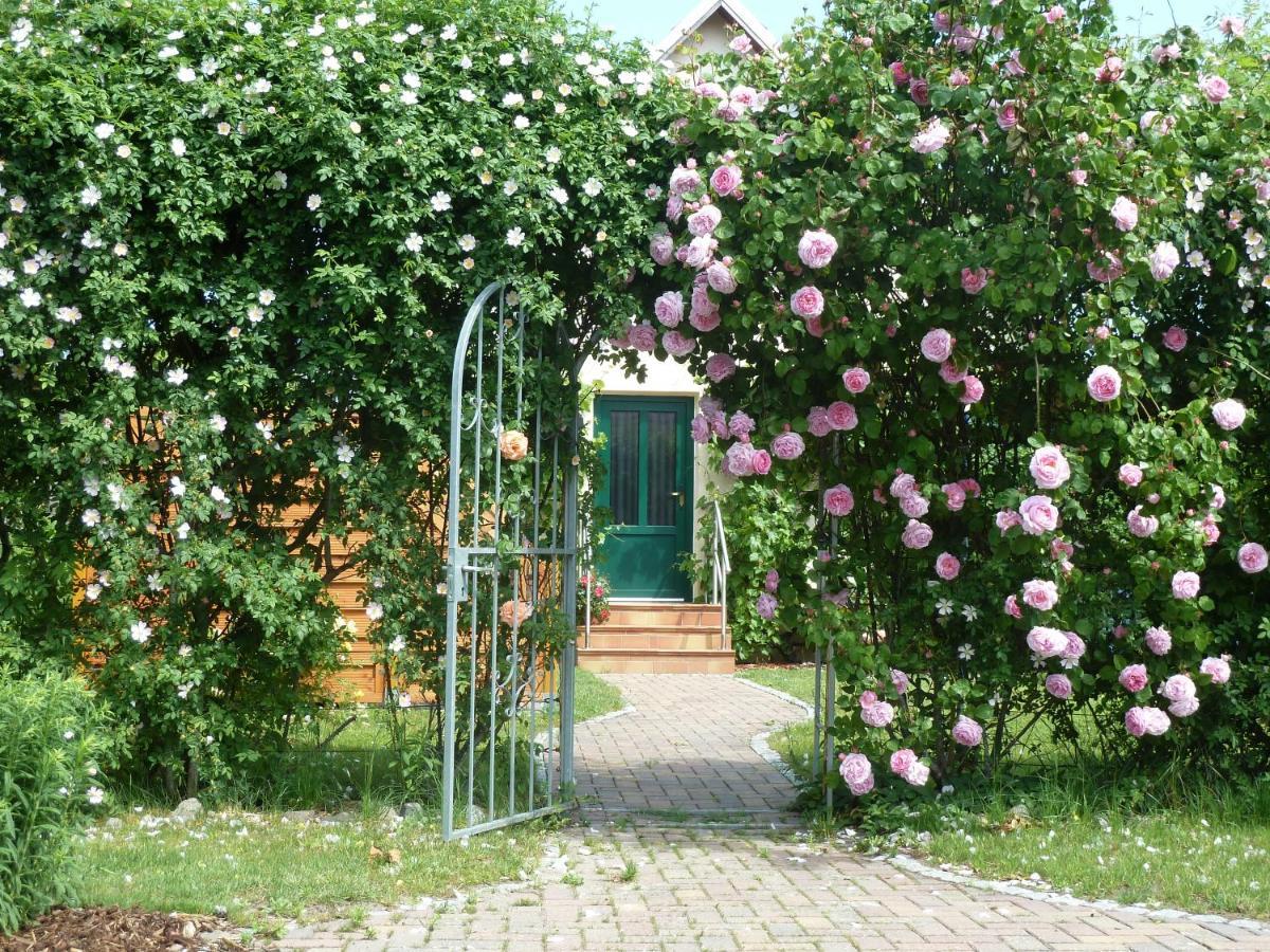Ferien Auf Ruegen Familie Geist Garz (Rugen) Exterior foto